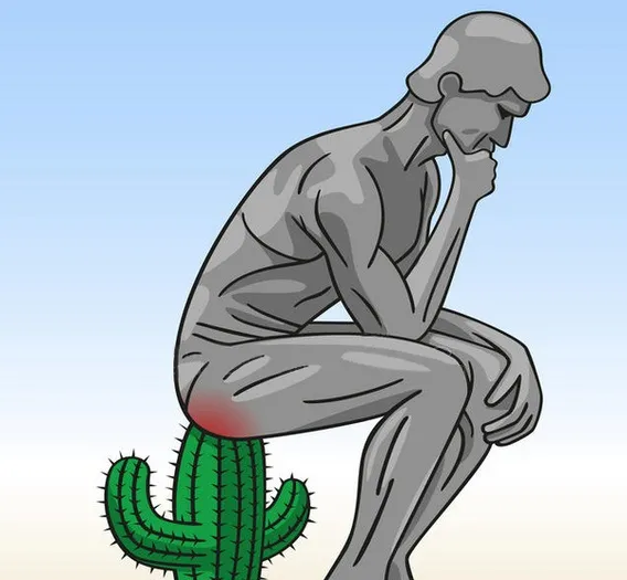 Hemout : كيفية الاستعمال